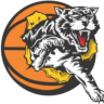 Willetton Tigers