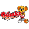 Mitsubishi Koalas Women