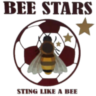 The Bees FC