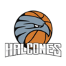 Halcones de Obregon