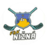 Nizna