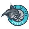 Lynx Liberec