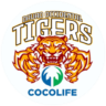 Davao Occidental Tigers