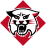 Davidson Wildcats