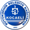 Kocaeli Kagitspor