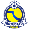 Botucatu Futsal