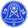 Dundonald Bluebell