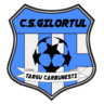 CS Gilortul Targu Carbunesti