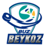 Buz Beykoz