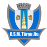 CSM Targu Jiu Women