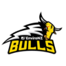 Franklin Bulls