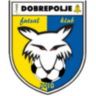 FK Dobrepolje