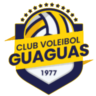 CV Guaguas