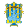 FC Baleine Shimonoseki