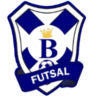 Futsal Ribeirao