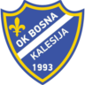 Bosna Kalesija