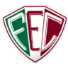 Fluminense PI