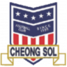 Daegu Dalseo Cheongsol FC