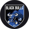 Black Bulls