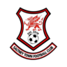 Saltney Town