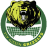 TSV Giesen Grizzlys II