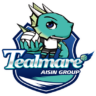 Aisin Tealmare