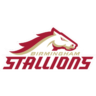 BHM Stallions
