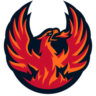 CV Firebirds