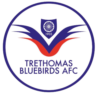 Trethomas Bluebirds AFC