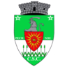 CSC Peciu Nou
