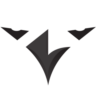 Munich Ravens