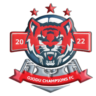 Ojodu City FC Viareggio Team
