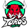 Toros del Valle