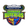 Nueva Ecija Granary Buffalos