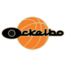 Ockelbo Basket