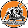 Grasshoppers Zilina