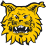 Ilves Women