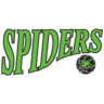 Hornsby Spiders