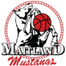 Maitland Mustangs