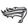 Raiders Tirol