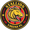 Stallion Laguna F.C.