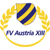FV奥地利XIII