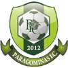 帕拉戈米納斯FC