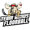 Arhus FS Floorball