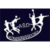 A.S.D. Romagna Handball