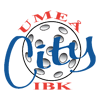 Umea City IBK