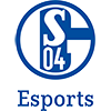 Schalke 04 Evolution