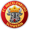 FC Mecklenburg什未林