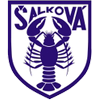 FK Σάλκοβα