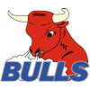 HC Dudingen Bulls